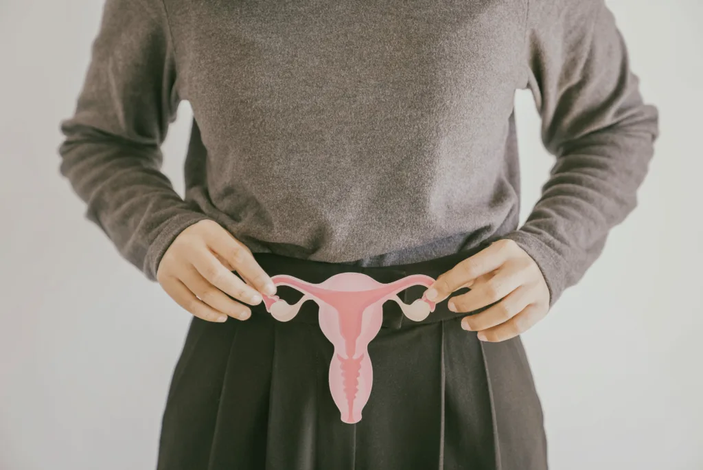 Woman hands holding uterus